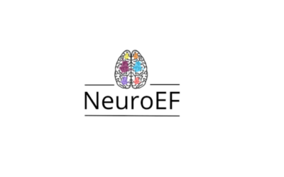 Aplicando la Neurociencia en la Educación Física: Actividades para un Cerebro en Movimiento