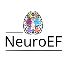 Aplicando la Neurociencia en la Educación Física: Actividades para un Cerebro en Movimiento